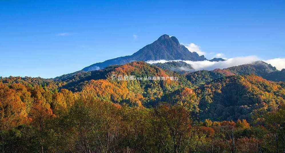 六艺王宫项目周边实景图.jpg