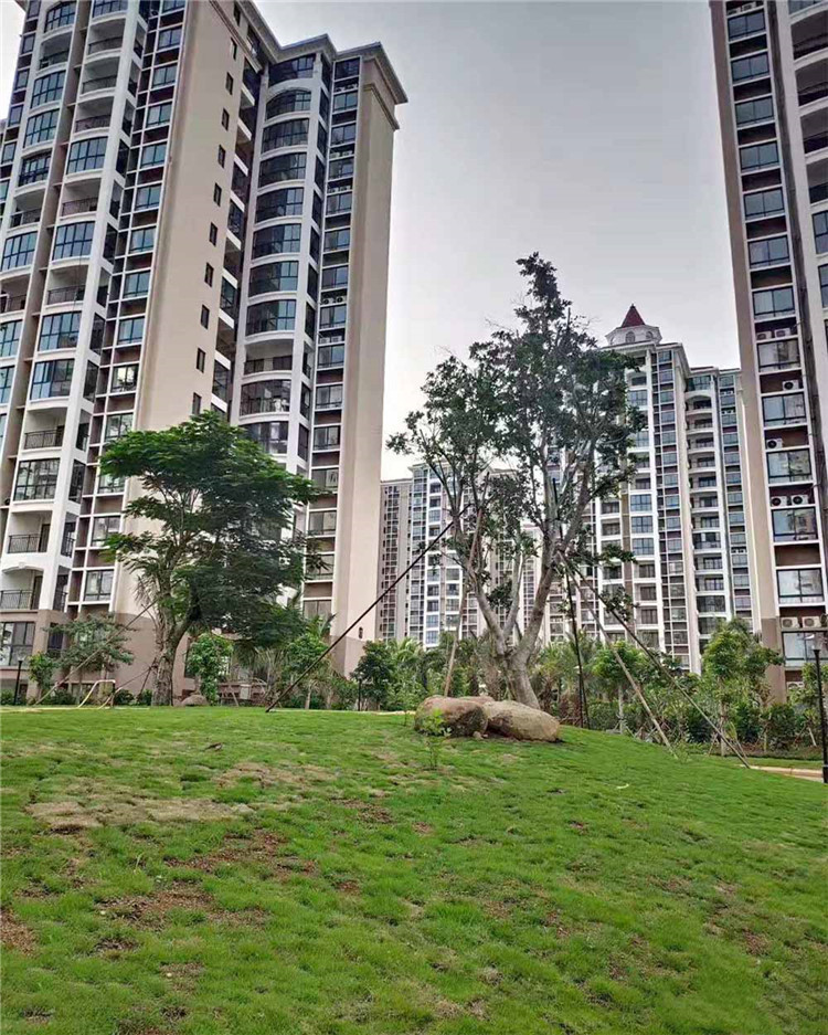 香格里温泉小镇实景图.jpg
