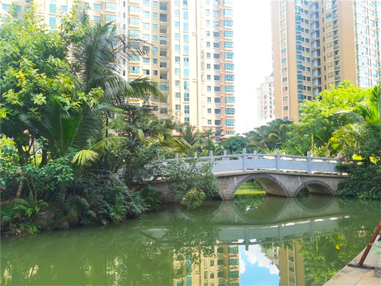 海湾雨林实景图.jpg