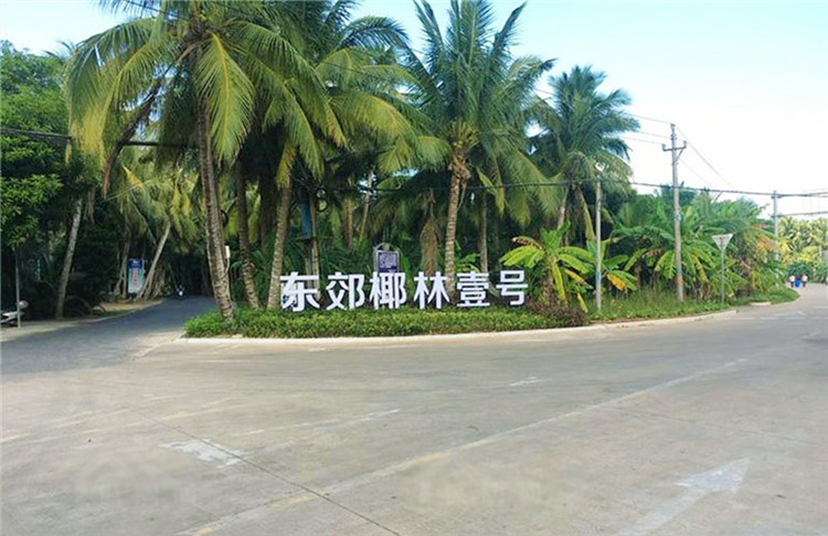 东郊椰林壹号实景图.jpg