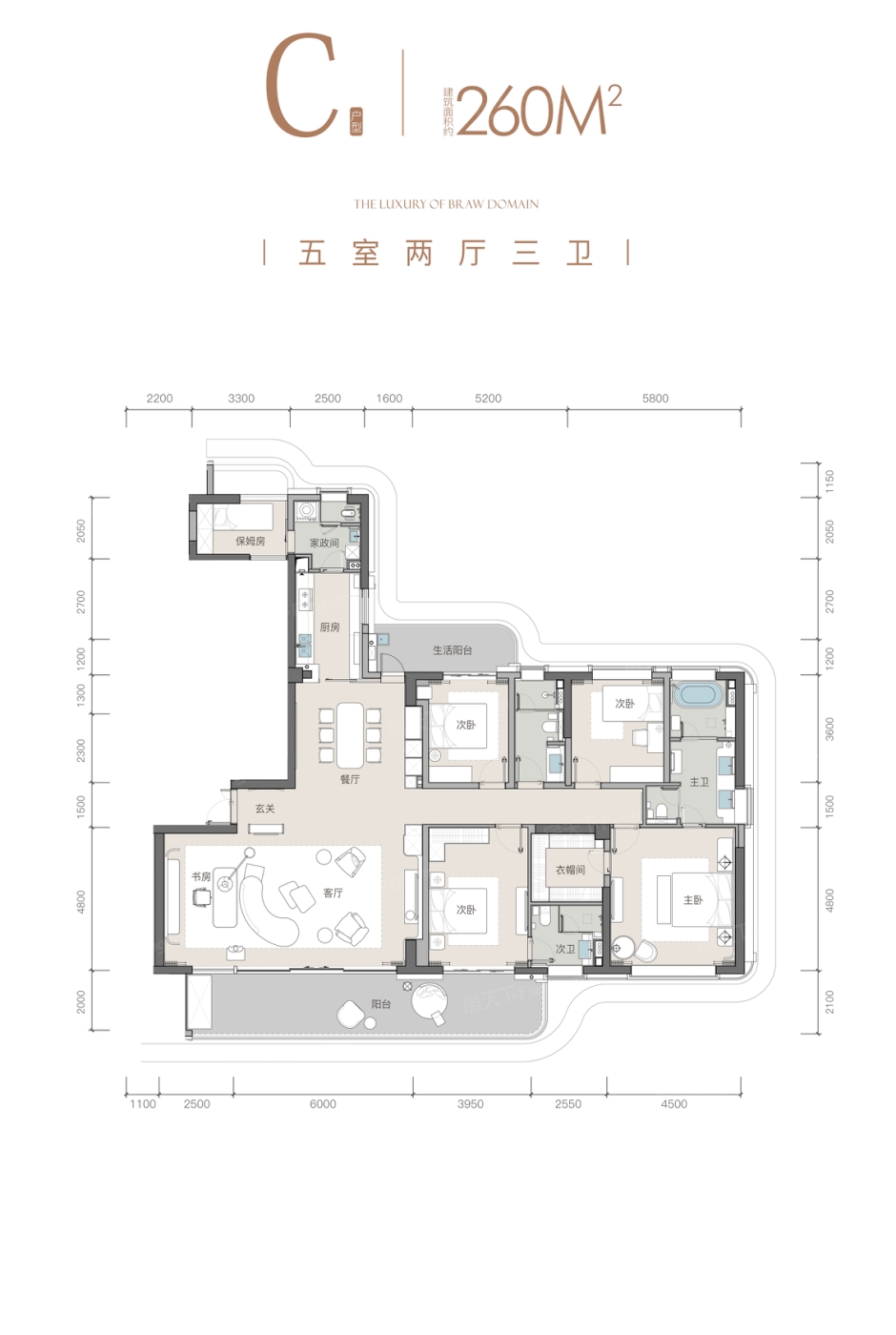 户型图:C户型