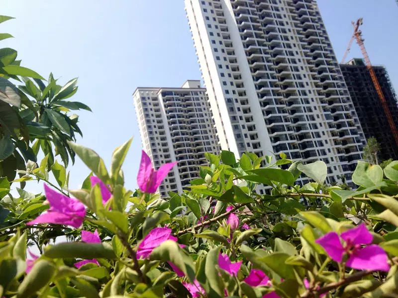 凭海临江花园实景图